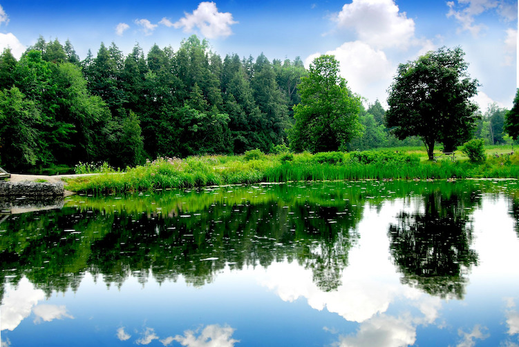 MŽP dá ze zdrojů EU na ochranu přírody a vody v krajině 1,9 miliardy korun